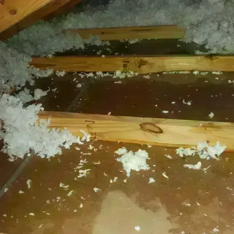 Attic Water Damage in Valdosta, GA