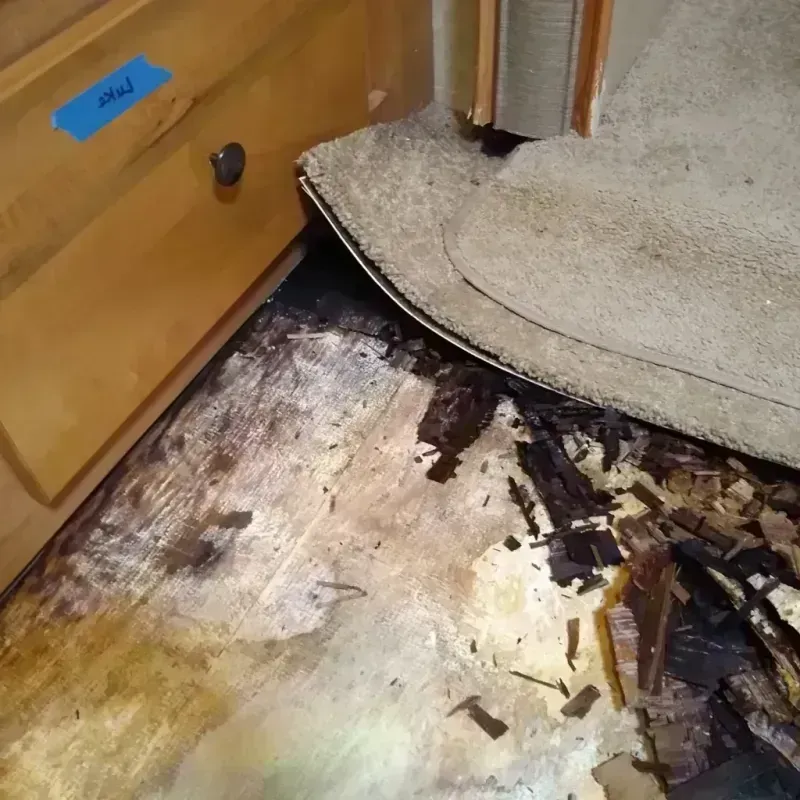 Wood Floor Water Damage in Valdosta, GA